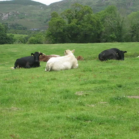 Hotel White Heather Farm 3*